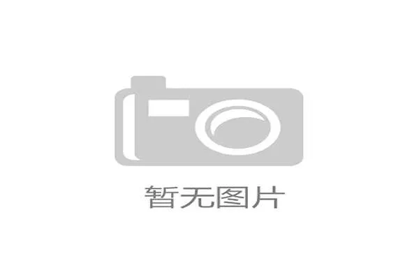 佛得角首次晋级2026世界杯